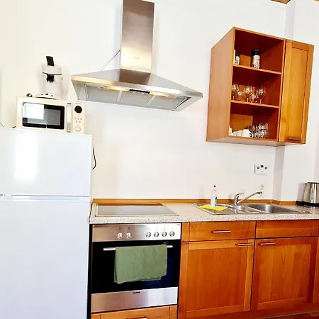 Elena Flat Tulpe Zentrum Duisburg