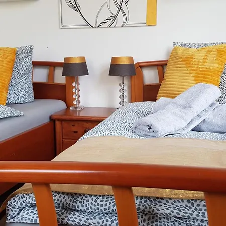 Elena Flat Tulpe Zentrum